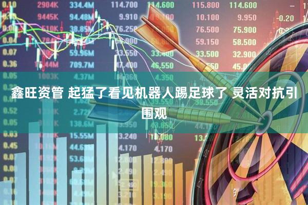 鑫旺资管 起猛了看见机器人踢足球了 灵活对抗引围观