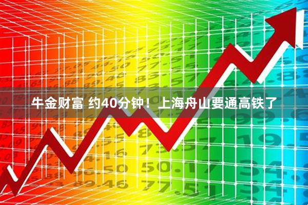 牛金财富 约40分钟！上海舟山要通高铁了