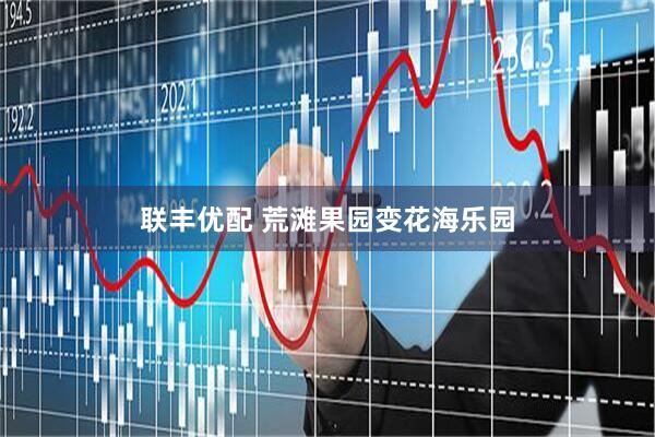 联丰优配 荒滩果园变花海乐园