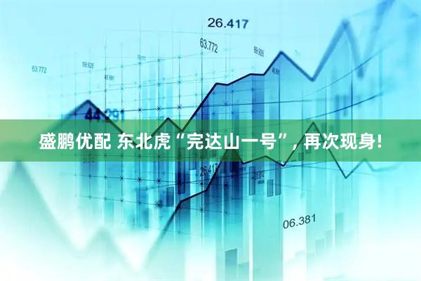 盛鹏优配 东北虎“完达山一号”, 再次现身!